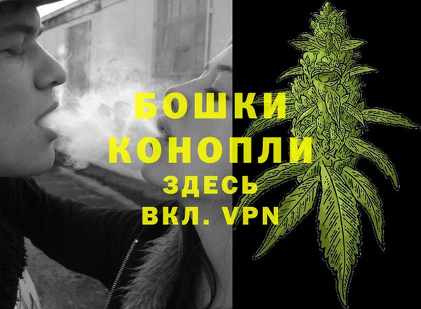 трава Алексин