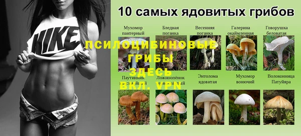 а пвп мука Алзамай