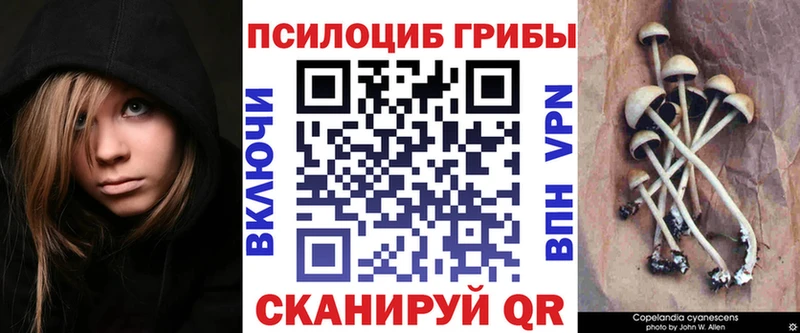 ОМГ ОМГ зеркало маркетплейс как зайти Ивдель Псилоцибиновые грибы Magic Shrooms магазин наркотиков